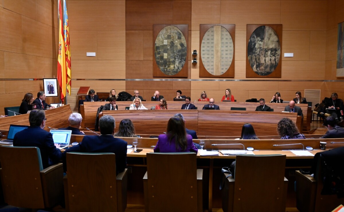 Pleno de Valencia del mes de diciembre